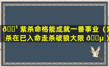 🌹 紫杀命格能成就一番事业（紫杀在巳入命走杀破狼大限 🌵 ）